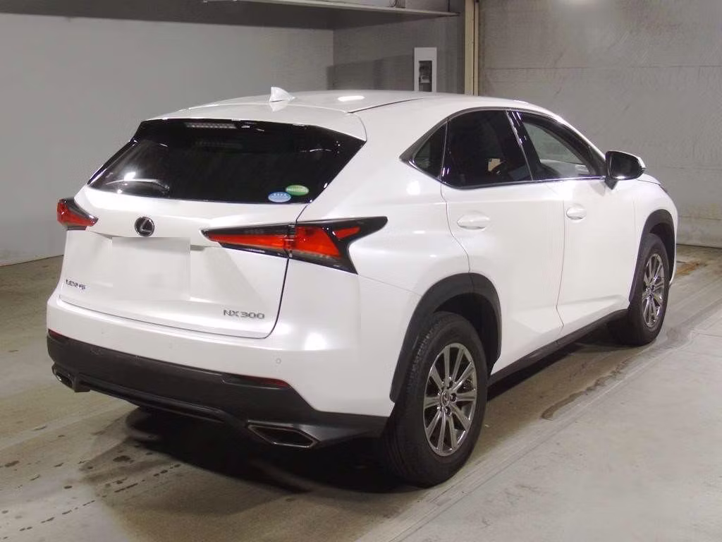 LEXUS NX300