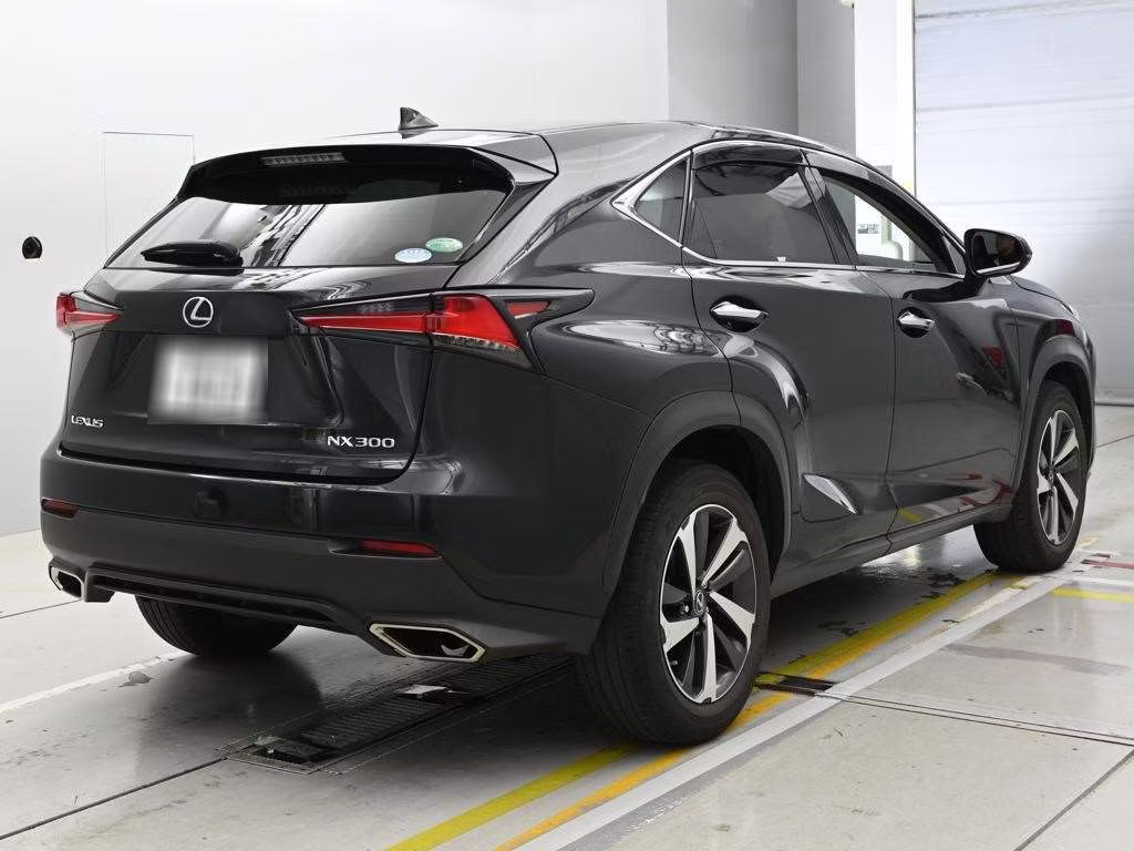 LEXUS NX300