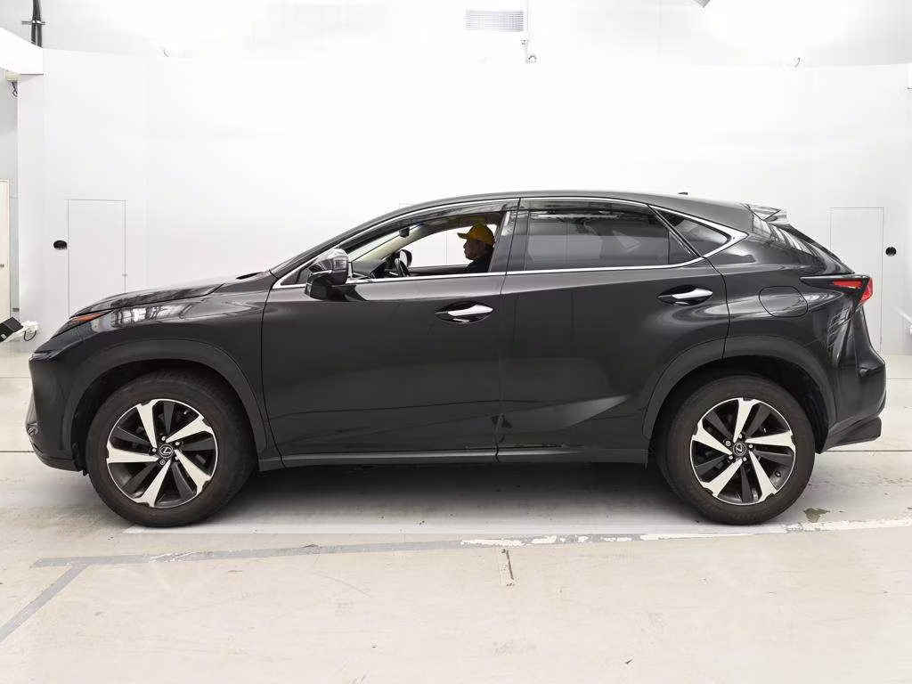 LEXUS NX300