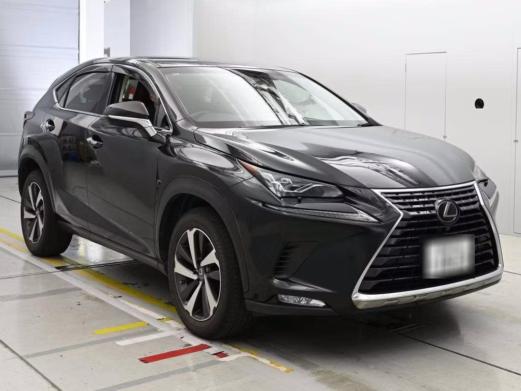 LEXUS NX300