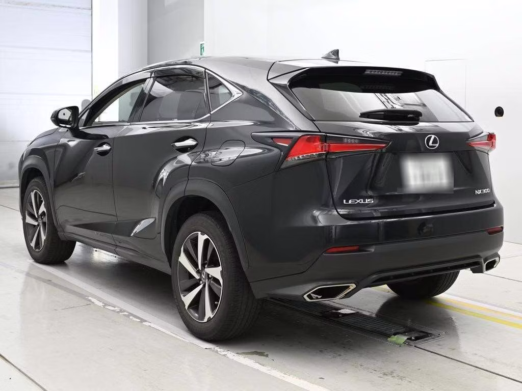 LEXUS NX300