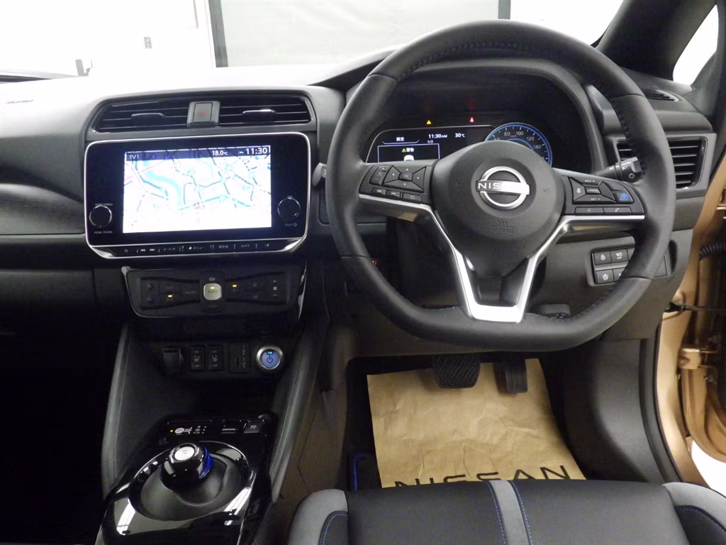 NISSAN LEAF