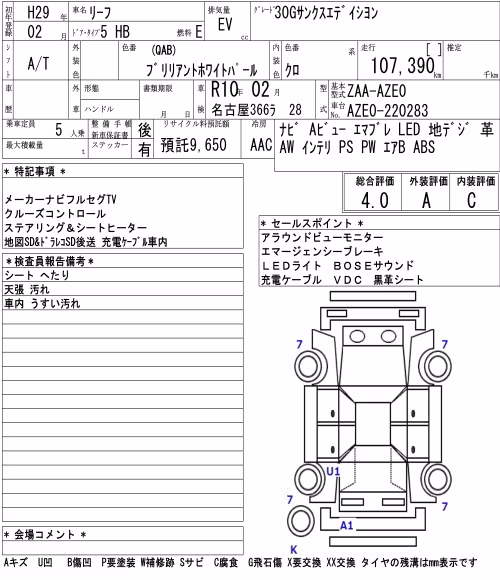 NISSAN LEAF