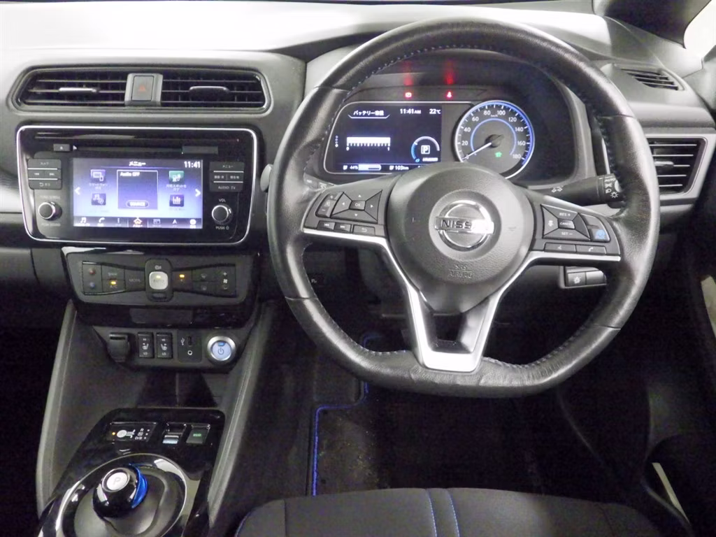 NISSAN LEAF
