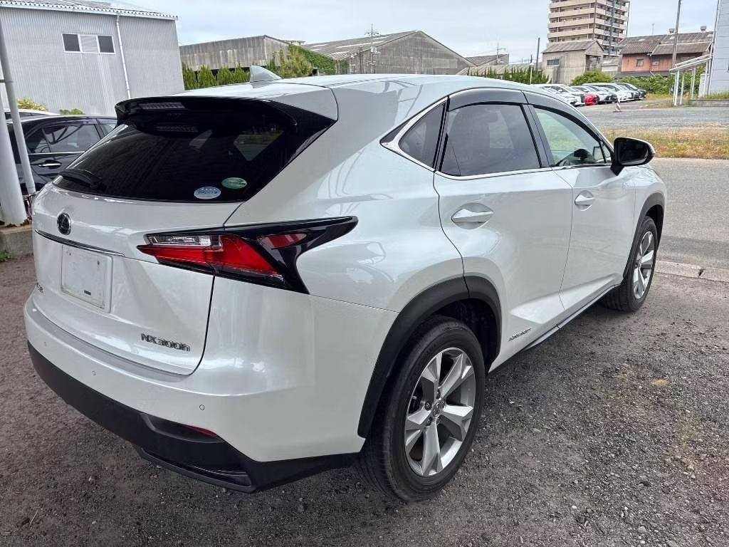 LEXUS NX300
