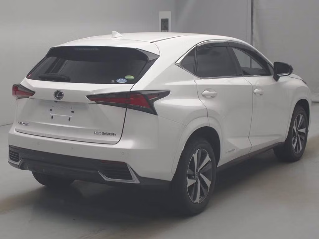 LEXUS NX300H