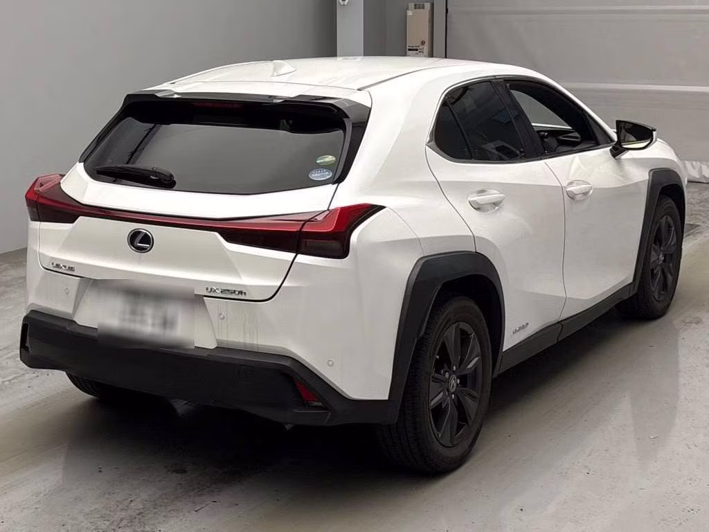 LEXUS UX250H