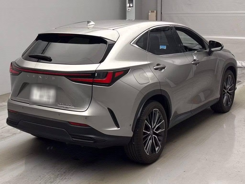 LEXUS NX450H+