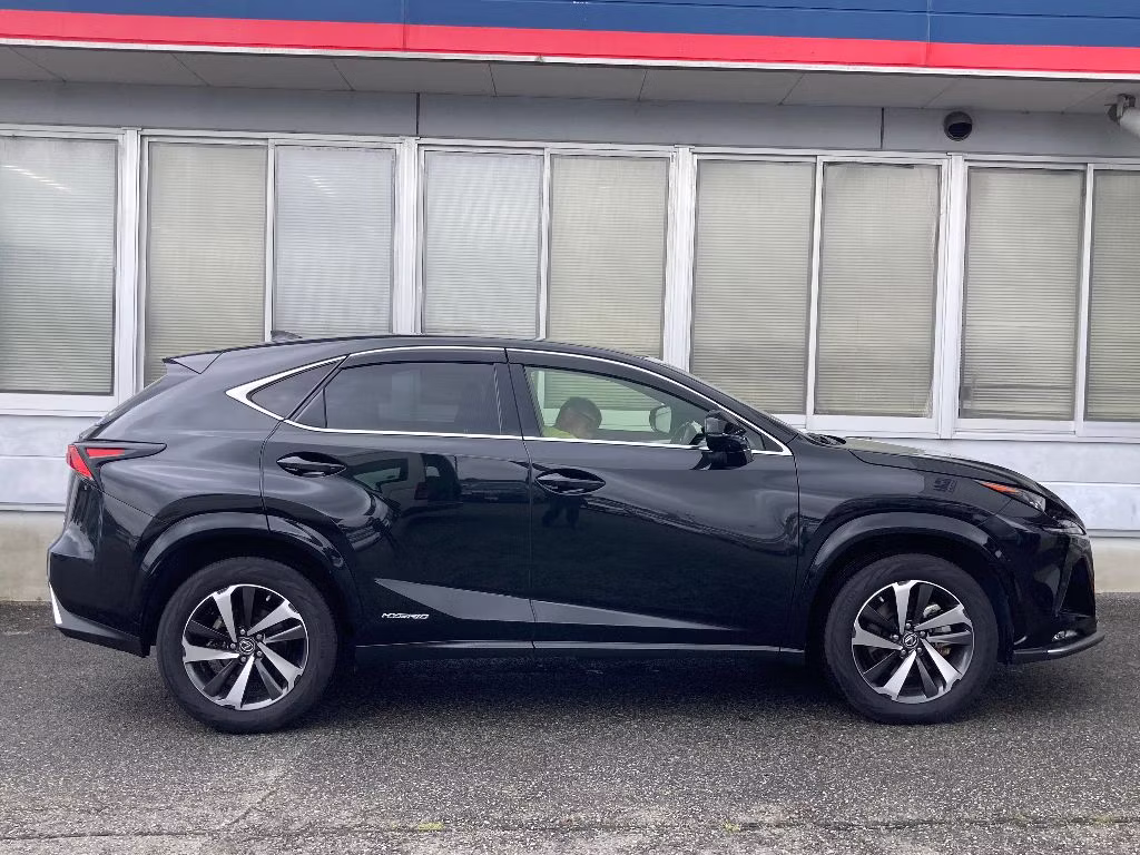 LEXUS NX300H
