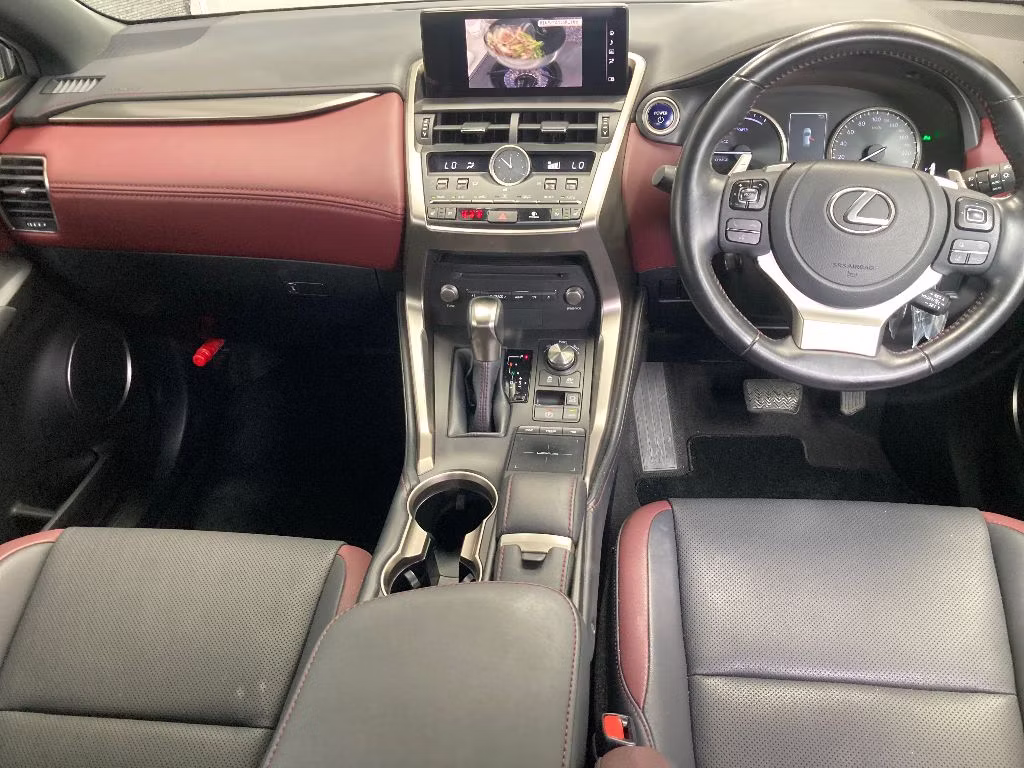 LEXUS NX300H