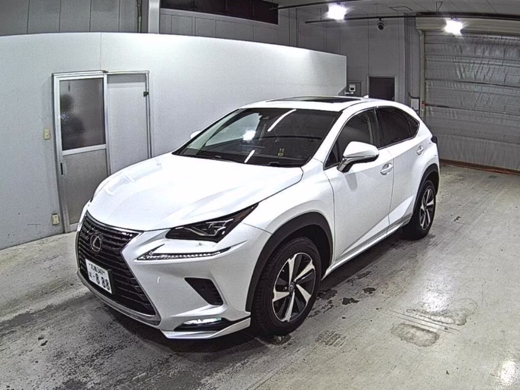 LEXUS NX300