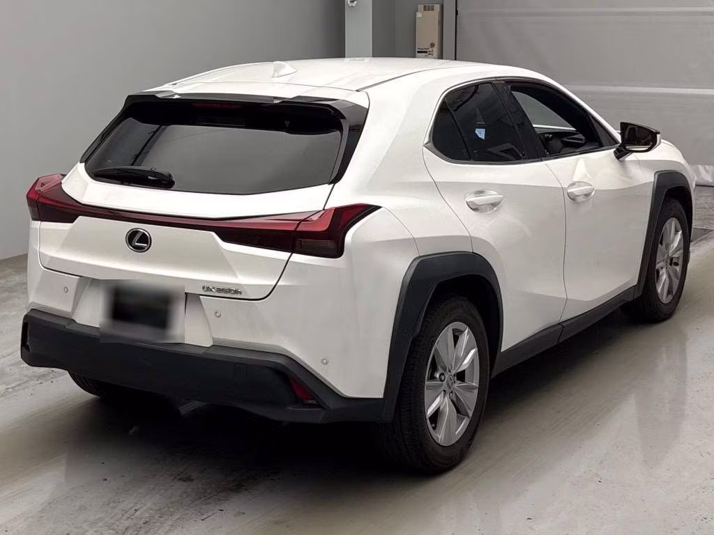 LEXUS UX250H