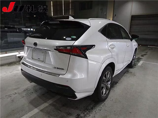 LEXUS NX300