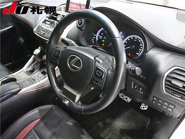 LEXUS NX300