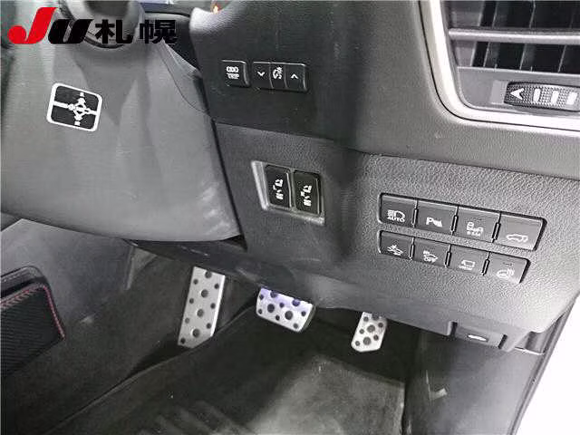 LEXUS NX300