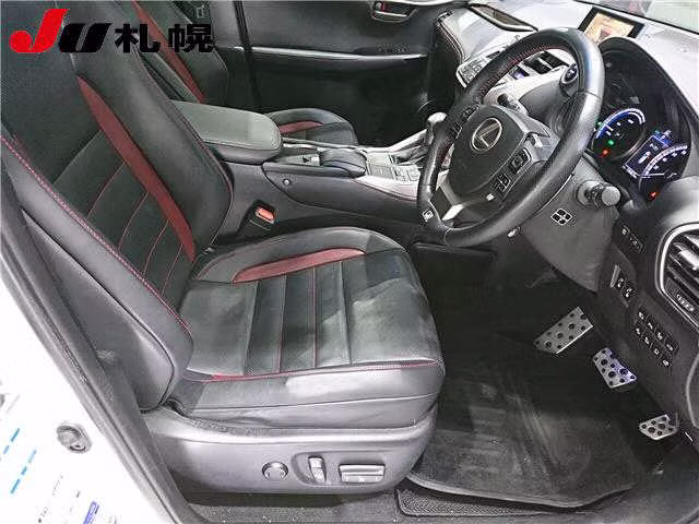 LEXUS NX300