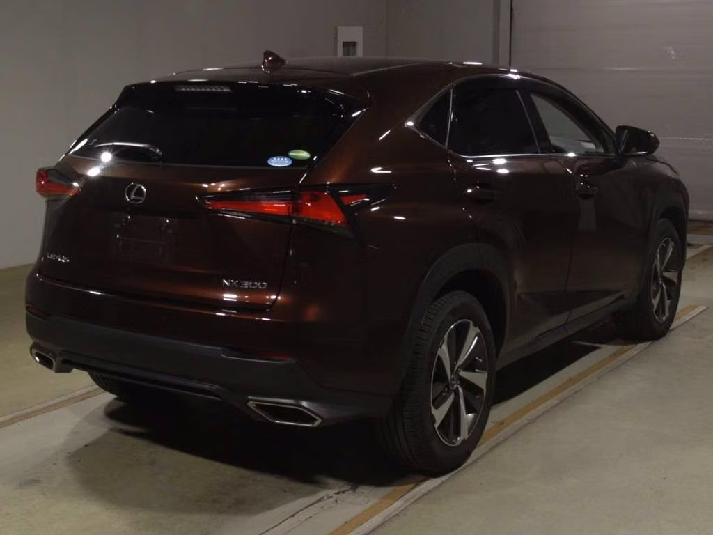 LEXUS NX300