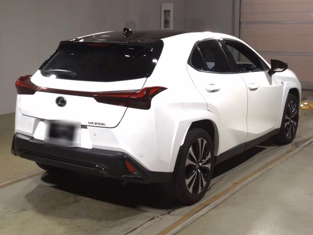 LEXUS UX250H