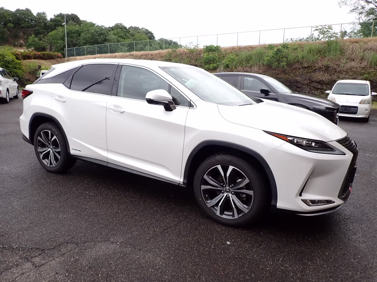 LEXUS RX450H