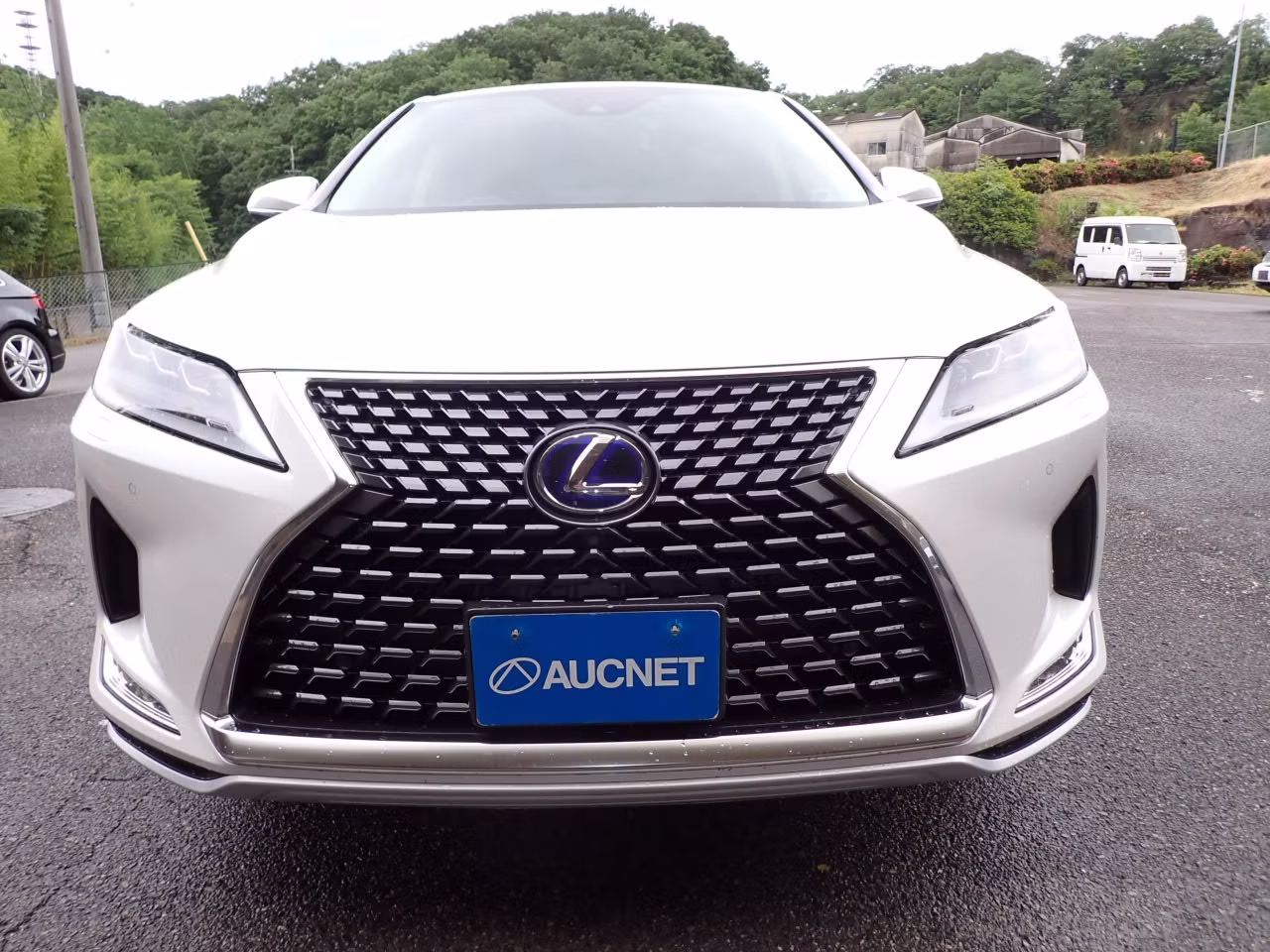 LEXUS RX450H
