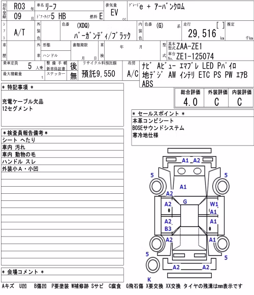 NISSAN LEAF