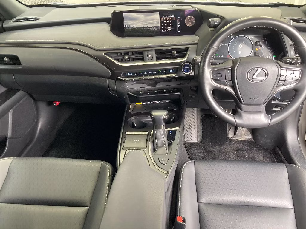 LEXUS UX250H