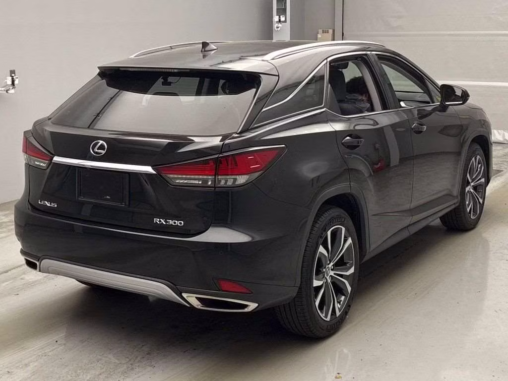 LEXUS RX300