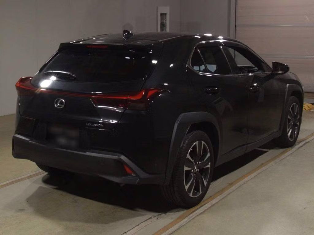 LEXUS UX250H