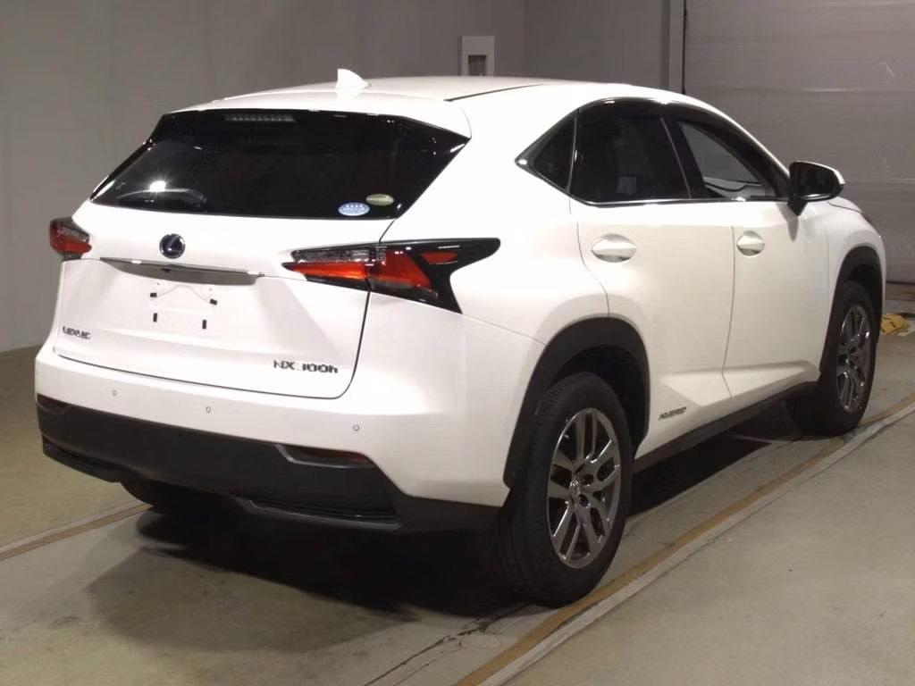 LEXUS NX300