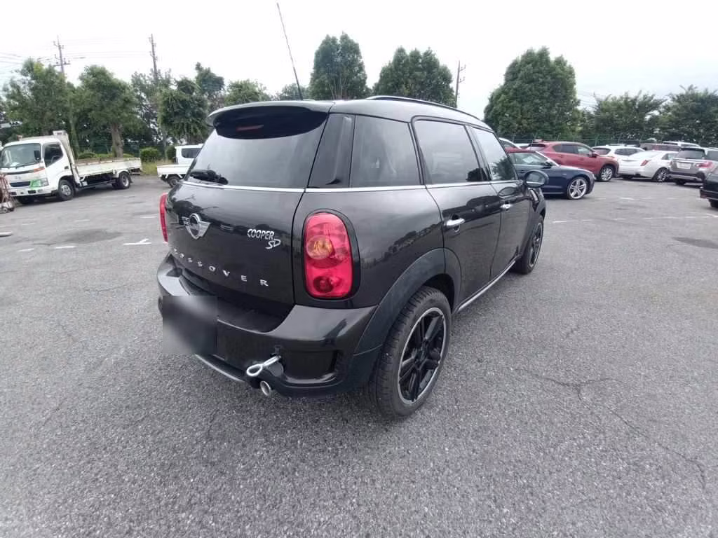 MINI CROSSOVER