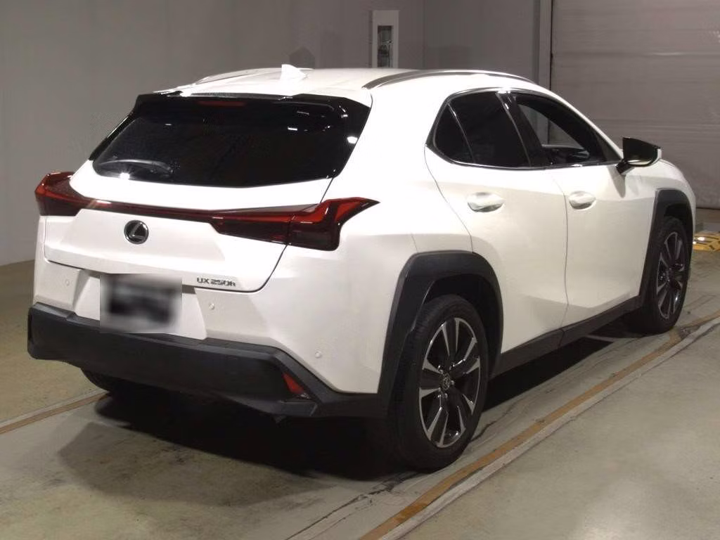 LEXUS UX250H