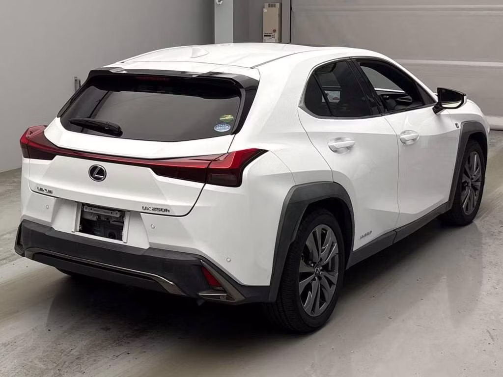 LEXUS UX250H