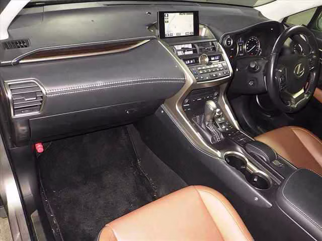 LEXUS NX300H