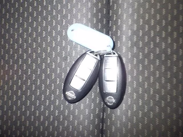 NISSAN DUALIS