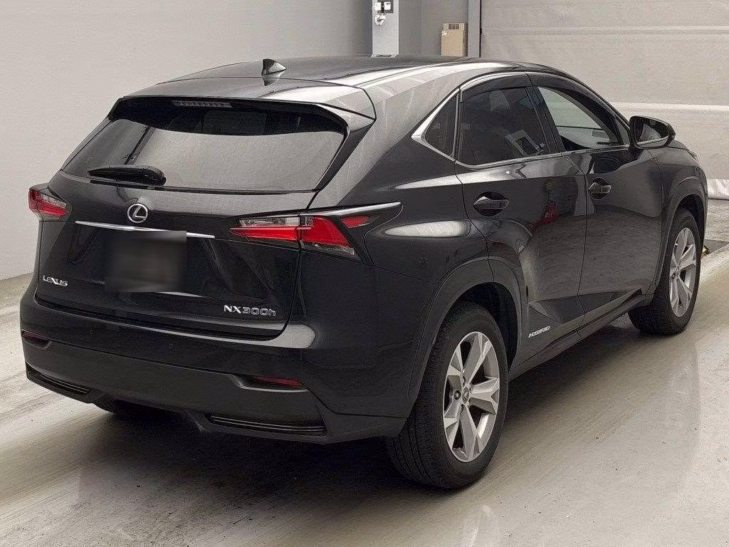 LEXUS NX300