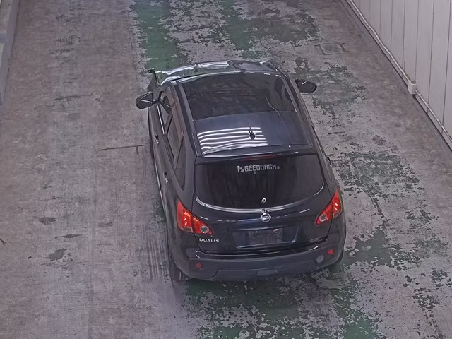 NISSAN DUALIS