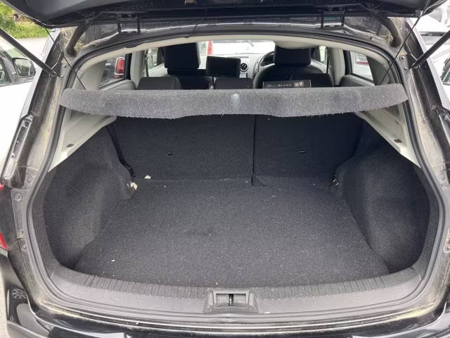 NISSAN DUALIS