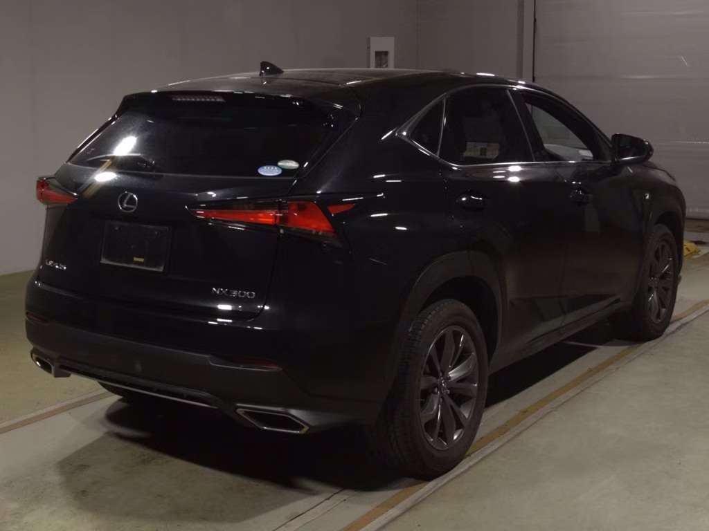 LEXUS NX300
