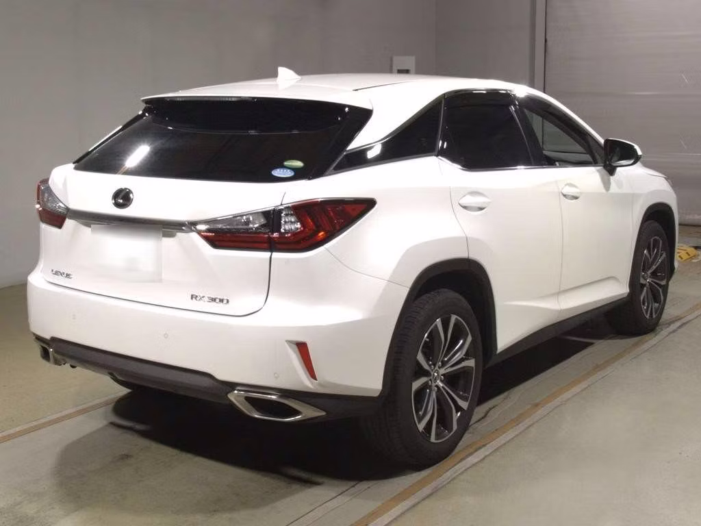 LEXUS RX300