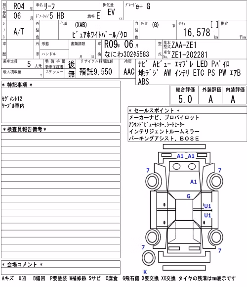 NISSAN LEAF