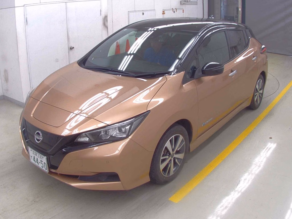 NISSAN LEAF