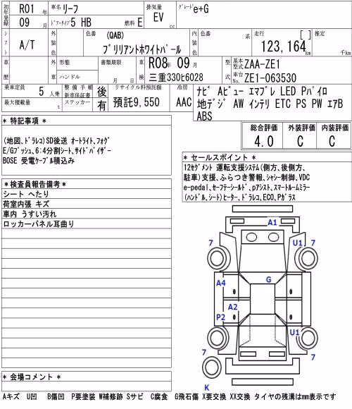 NISSAN LEAF