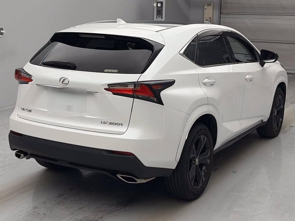 LEXUS NX300