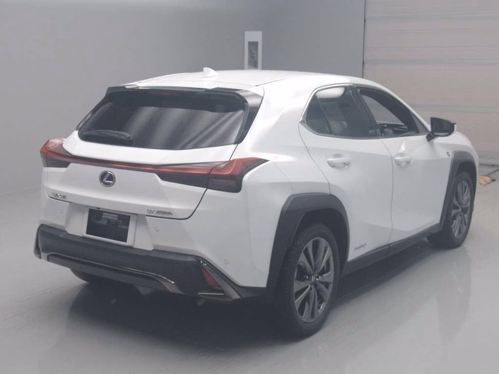 LEXUS UX250H