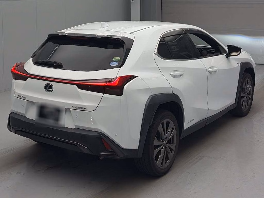 LEXUS UX250H