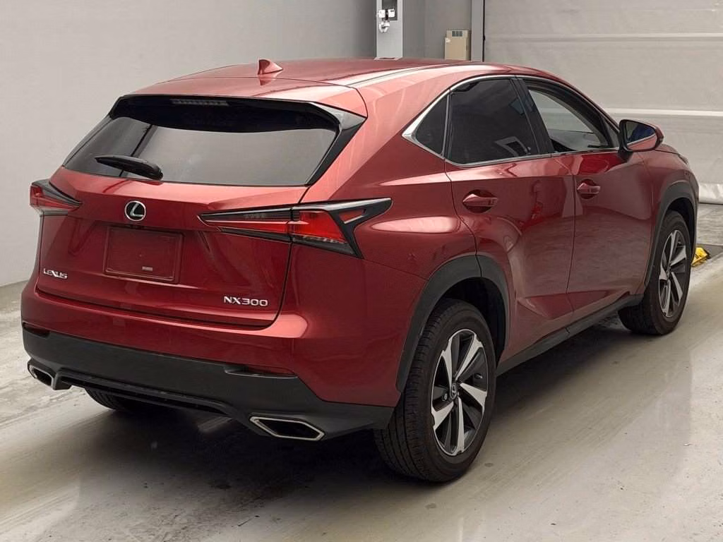 LEXUS NX300