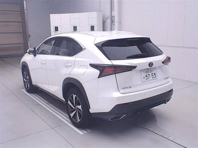 LEXUS NX300
