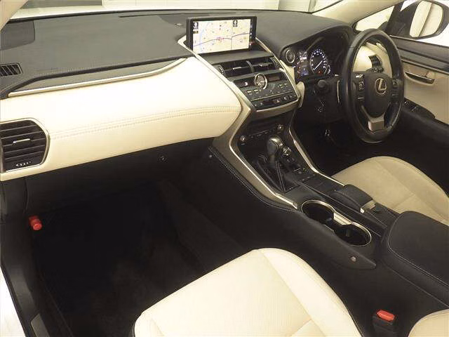 LEXUS NX300