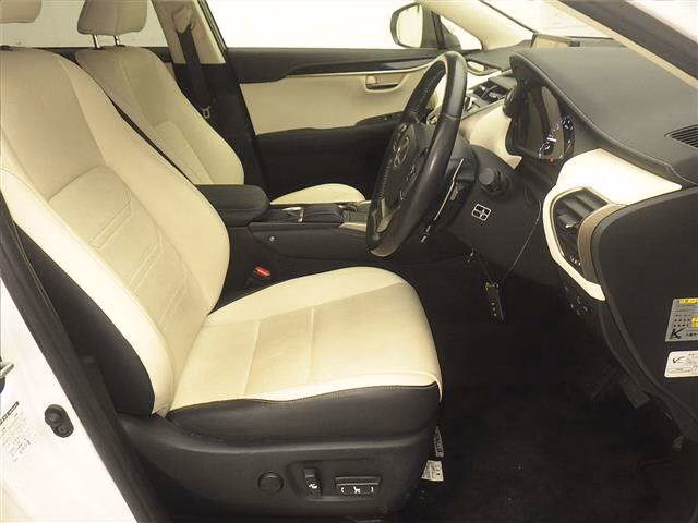LEXUS NX300