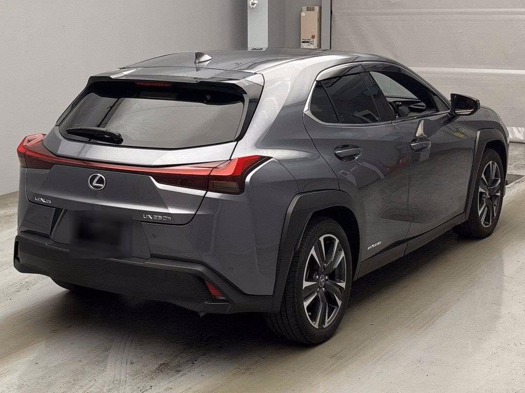 LEXUS UX250H